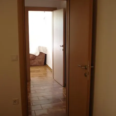 Apartment Dominik Orebic
